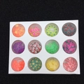 DIY resin art kit with 12 fruit-shaped polymer clay slices for crafts and nails - 12-Grid Fruit Polymer Clay Slices Set