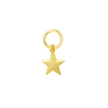 Collana in argento S925 dorato con ciondolo a forma di stella in stile francese - A3212-Ciondolo a Stella / Argento 925