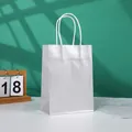 Glossy silver glitter gift paper bag with white rope handles for shopping and holidays - Silver