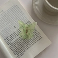 Detailansicht einer hellgrünen, transparenten Schmetterlings-Haarklammer auf einem Buch - Fluoreszierendes Grün