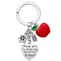 Stainless steel teacher appreciation keychain with red apple and engraved heart tag - A2-Heart Plate