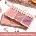 Three-color blush palette with matte and shimmer shades in peach, apricot and grape purple - Three-color/Shimmer+Matte