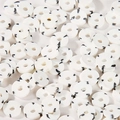 Perle distanziatrici tonde piatte in argilla polimerica bianca maculata per gioielli fai da te - Bianco Macchiato