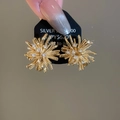 Macro shot of fireworks zircon clip-on earrings in 18k gold plating with sparkle. - Ear Clip - Gold