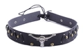 Detail of black leather choker with silver bull head badge and bronze stud accents - 56-58cm / Black Silver Bull Head Badge Studded Choker (AB89)