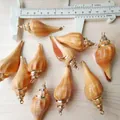 Makroansicht von naturfarbenen Muschel-Anhängern mit Goldrand und Messschieber - Orange geränderte Hähnchenschenkel-Schnecke
