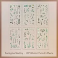 Set of 6 Eucalyptus plant PVC stickers for scrapbooking and natural decor - Eucalyptus Encounter