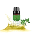 100% pure Thyme essential oil in 10ml amber glass bottle with refreshing liquid splash - Thyme (single Ingredient)