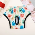 Washable pet physiological pants with colorful cartoon bear prints and elastic waistband - Colorful Bear