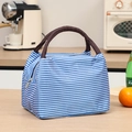 Portable lunch bag with blue and white stripes, brown woven handles and zipper closure - Royal Blue Stripes