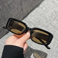 Gafas de sol rectangulares retro con montura negra y lentes color té en la mano - Montura Negra Lentes de Té