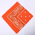 Orange paisley bandana with classic cashew flower pattern for outdoor cycling and styling - 54*54CM / Orange