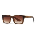 Gafas de sol cuadradas retro con montura ámbar y lentes de color marrón degradado - Montura color té, lentes color té