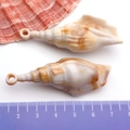 Laser cut golden spiral shell pendant accessory for DIY necklace and bracelet jewelry - Cream Acrylic Conch 21x57mm (17293)