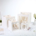 White gift bags with square clear windows and rope handles in four various sizes - 20*20*20cm / White
