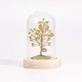 Albero di cristallo verde naturale con filo di rame in cupola di vetro e base in legno - Peridoto / 11*7.5cm / Con Confezione Regalo