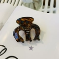 Close-up of tortoise shell acetate hair claw clip with gold Barrette La France text - Approx 6cm / Blue Tortoise