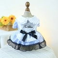 Dettaglio dell'abito per cani a scacchi blu con apertura a cuore e ricami in pizzo fine - M / Vestito da Principessa a Quadretti Blu e Bianchi
