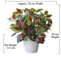 Artificial Coleus plant in white plastic pot with red-green leaves, height 30cm - Large Pot + Red Leaf