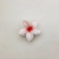 Pink and white gradient plumeria flower hair claw clip with a glossy resin finish - Medium Approx 6x5x3.8cm / White (Red Core)