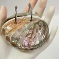 Handheld natural New Zealand abalone shell notepad with colorful iridescent luster - Polished Chilean Abalone Memo Pad / Approx. 6-9cm