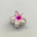 Pink and white gradient plumeria hair claw clip made of translucent acrylic material - Frangipani Hair Clip / 6x5x3.8CM / White (Pink Center)