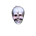 Halloween decorative resin skull ornament in pearlescent purple and silver finish - Skull