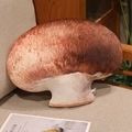Realistic mushroom plush pillow featuring a brown cap and soft cream stem on a chair - Mushroom