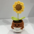 Handmade crochet sunflower in a brown pot with a 'Thank you For Helping Me Grow' label - Positive Potted-Sunflower