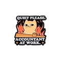 Funny cat enamel pin with Accountant at Work text and orange flame design for accountants - Accountant At Work (QHXZ1142)