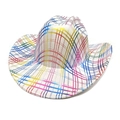 Macro shot of colorful rainbow plaid pattern on white felt cowboy hat with curved brim - M(56-58cm) / White