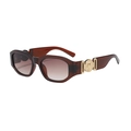 Dark brown translucent sunglasses with gradient lenses and golden temple ornament - Tea Frame Gradient Tea Lens
