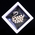 Swan pearl brooch with sparkling crystals in a 3D floating jewelry display box - Swan Style (XZ115)