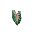 Green enamel leaf brooch with pink veins and gold-plated metal edges on white background - CZ1619-5 (Red Veined Heart Leaf)