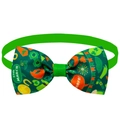 Papillon verde per animali San Patrizio con stampe di trifogli e monete d'oro - Stampa Elemento Cheers! (BT141-A-12)