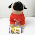 French Bulldog pug t-shirt in red with Best Friends text and blue grooming tool - C Pattern - Orange-red / S