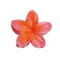 Pince à cheveux fleur de frangipanier avec dégradé rose et orange au fini brillant - Grand (Vrac) / Bordeaux