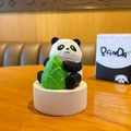 Cute panda resin ornament holding a green bamboo shoot on a white display base - Bamboo Shoot / Color Box