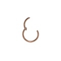 Seamless 20G rose gold hinged hoop ring in 316L stainless steel for nose or ear - Rose Gold