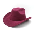 Detail of burgundy suede western cowboy hat with wide brim and creased crown crown - M (56-59cm) / Wine Red (Faux Suede)