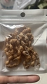 Detalle de cadena para gafas con conchas naturales y cierres metálicos dorados elegantes - Marrón