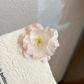 Pink and white gradient silk cherry blossom hair clip attached to a decorative card - Small Pink Cherry Blossom