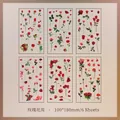 Rose Garden vintage PVC stickers set including 6 sheets of varied floral designs - Rose Garden