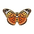 Detailed view of colorful butterfly enamel brooch with intricate orange and yellow patterns - Orange Yellow Spotted Style (W7379)