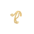 Makro-Detail des goldenen Schlangenrings mit feiner Schuppenstruktur und offener Ringschiene - Schlangenwickel-Stil (J457-1)
