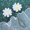 Marguerites Blanches À Deux Têtes