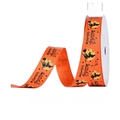 16mm orange Halloween grosgrain ribbon featuring Witches Squad pattern 10 yards roll - Witches Squad (16mm)