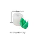 Macro-opname van siliconen mal voor vetplanten met afmetingen 35x30x34mm en voorbeeld - Vetplant Stijl 19
