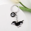 Detailed view of metal dachshund keychain and paw print pendant on a minimalist display - M10205 Black Dachshund + Paw