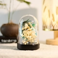 Lampada LED con fiori eterni in cupola di vetro con fiori bianchi e blu su base - Blu